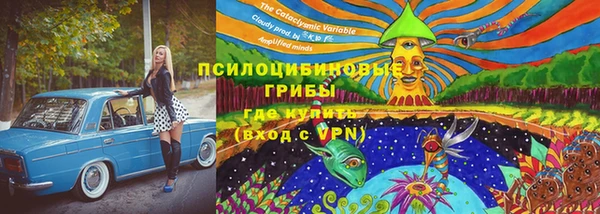 прущая мука Богданович