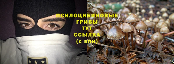 прущая мука Богданович