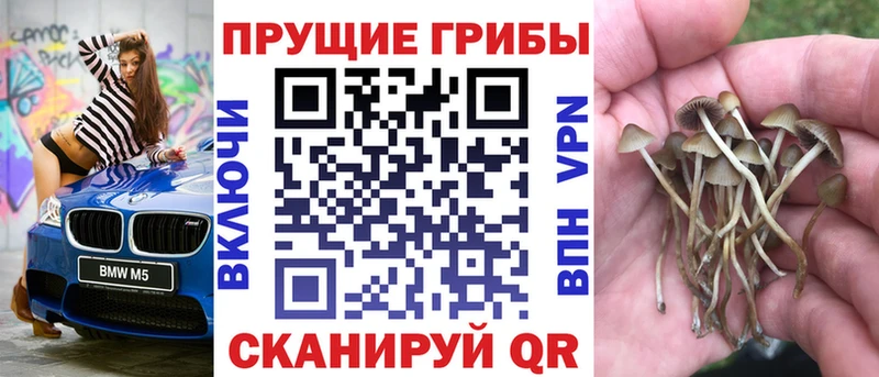 Псилоцибиновые грибы Psilocybe  Железноводск 